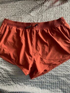 Charlie by Mathew Zink hybrid shorts swimsuit/gym, running with liner size Large